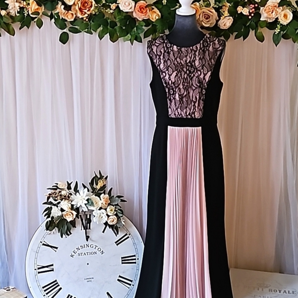 NWOT- JS Collections Black&Blush Pink Dress w/ Lace and Chiffon Netting Details